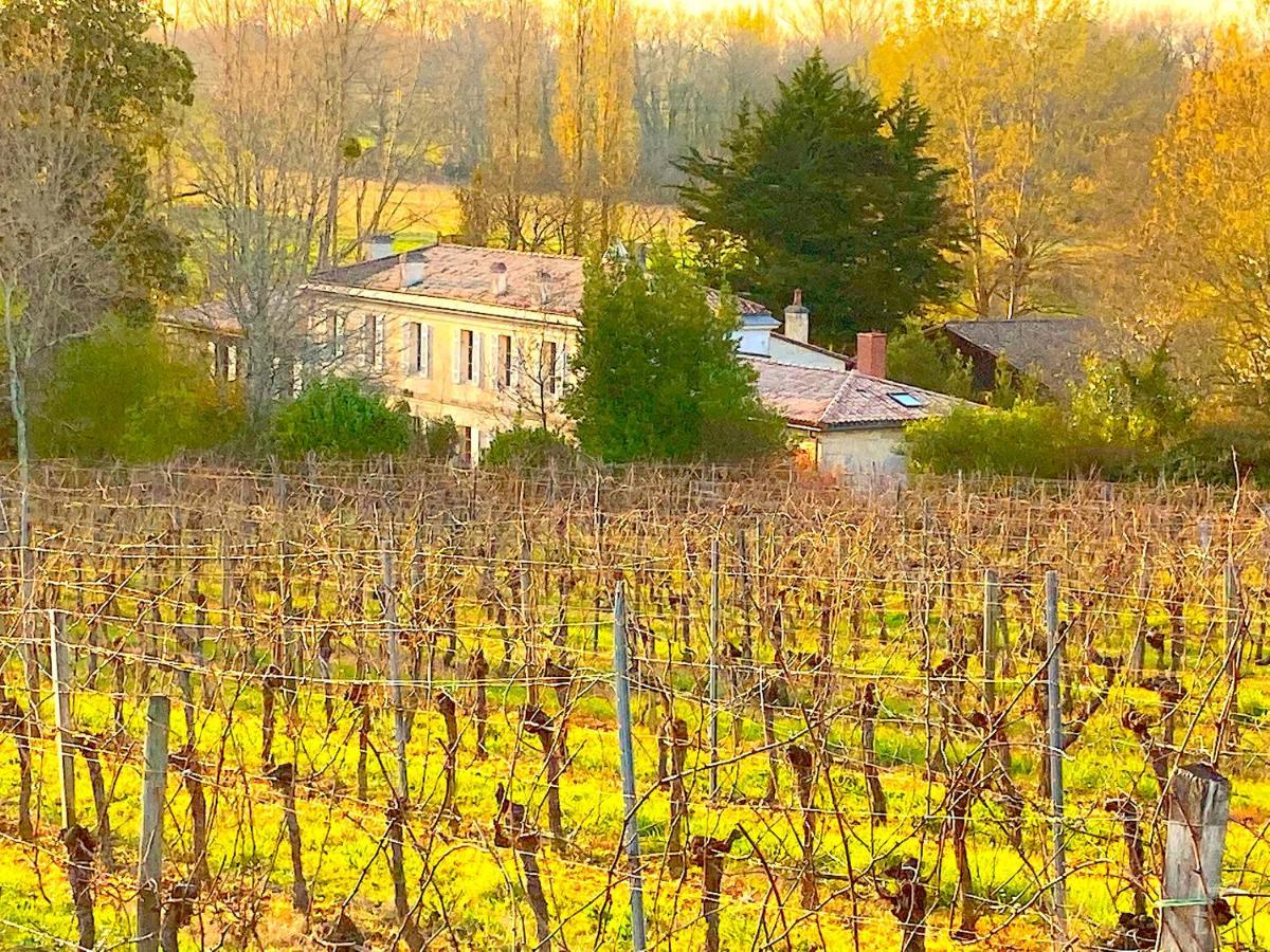 Fabuleux - Domaine Du Moulin D'Andraut Bordeaux-Chevaux-Golf-St Emilion Villa Montussan Luaran gambar