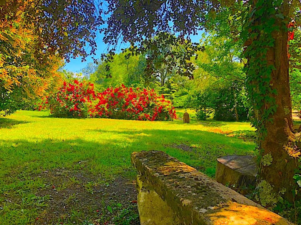 Fabuleux - Domaine Du Moulin D'Andraut Bordeaux-Chevaux-Golf-St Emilion Villa Montussan Luaran gambar