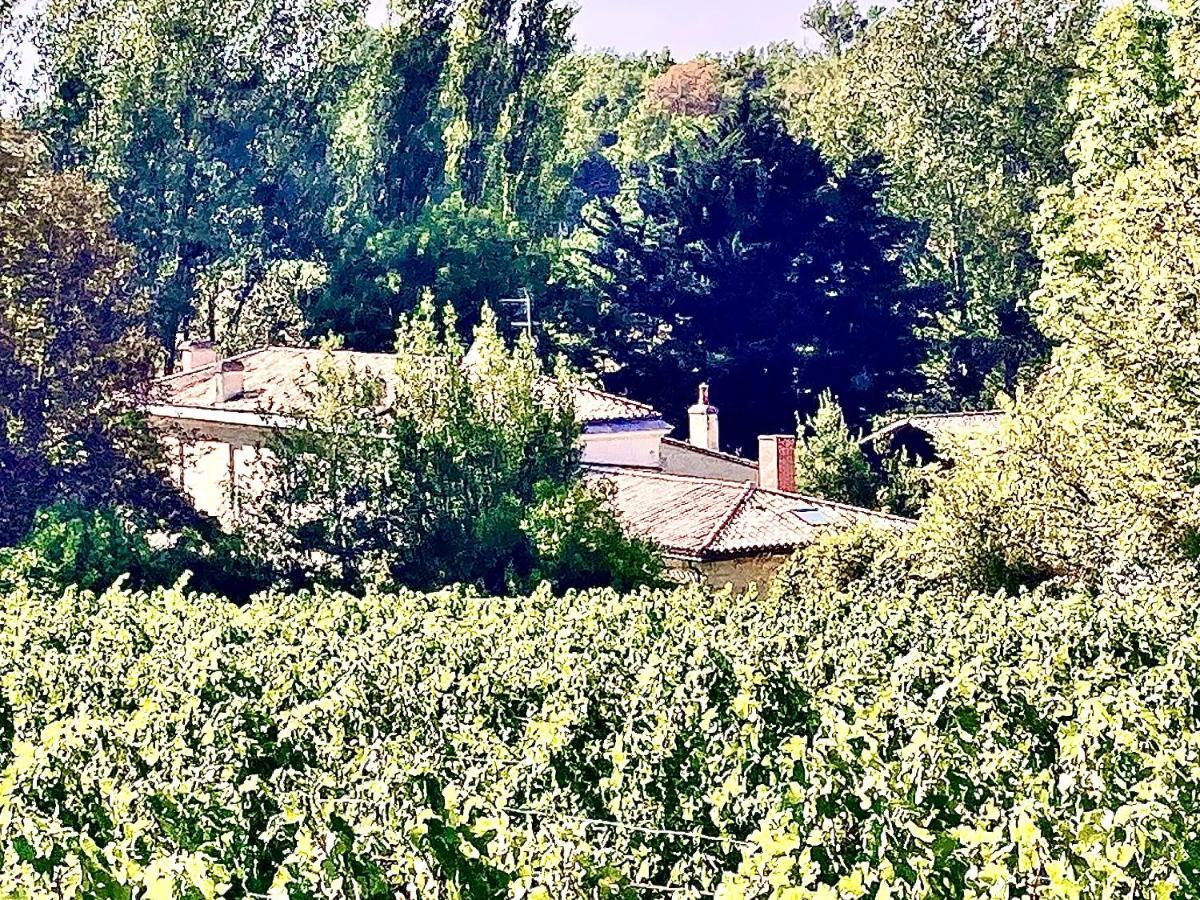 Fabuleux - Domaine Du Moulin D'Andraut Bordeaux-Chevaux-Golf-St Emilion Villa Montussan Luaran gambar