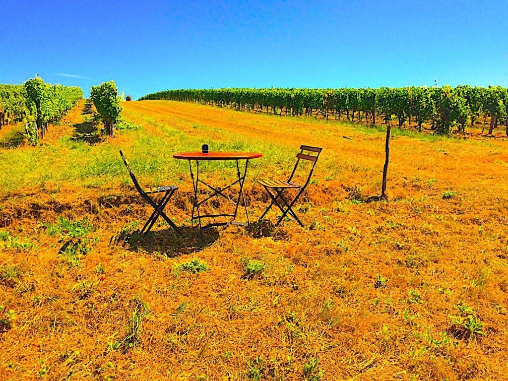 Fabuleux - Domaine Du Moulin D'Andraut Bordeaux-Chevaux-Golf-St Emilion Villa Montussan Luaran gambar